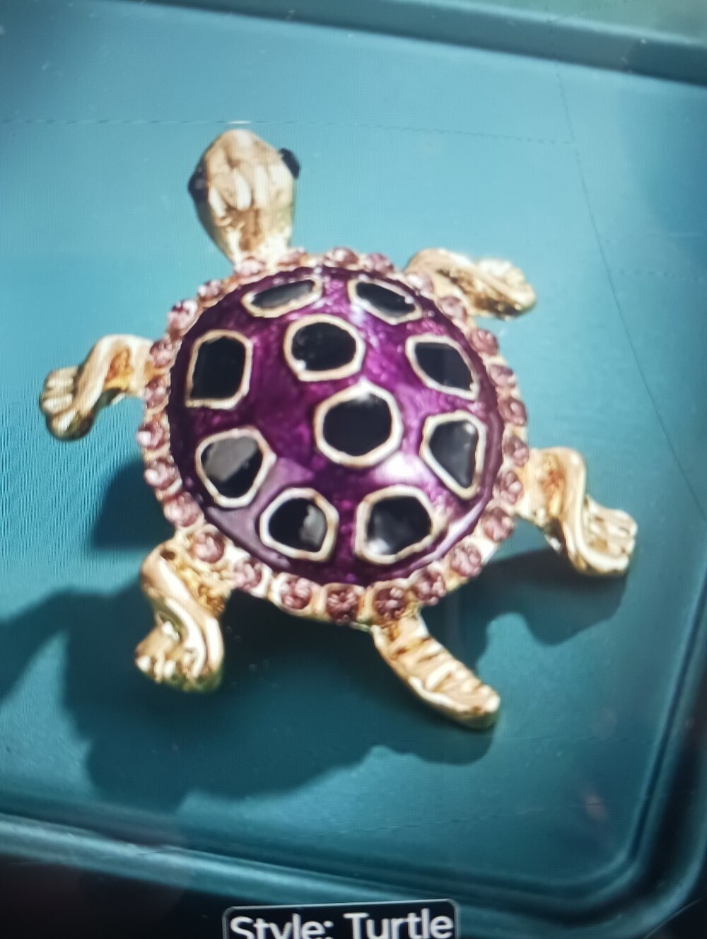Turtle Brooch